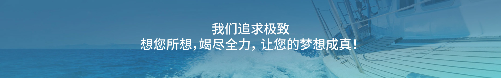 描述