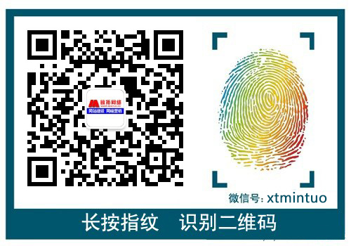 网络推广案例